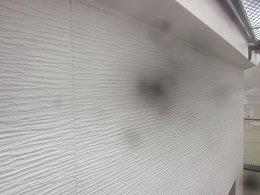外壁サイディングキルコ断熱塗料主剤塗装二層目塗装完了