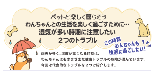 湿気が多い時期に注意したい2つのトラブル