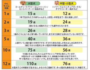 犬の人年齢換算表